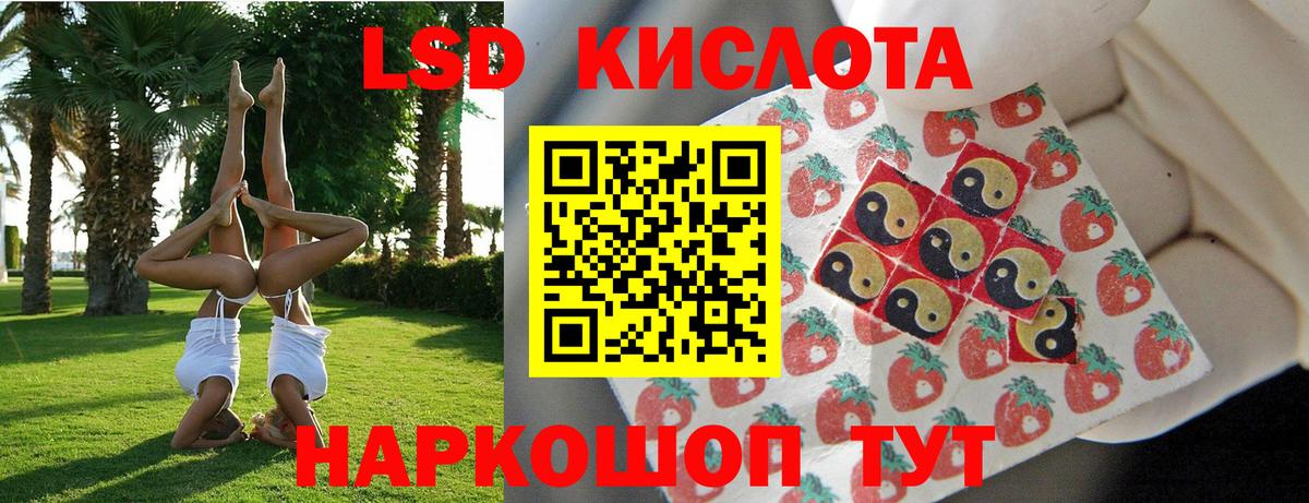 Наркотические марки 1,8мг  Вход с VPN  Наркотические марки 1,8мг  Наркотические марки  Ярцево 